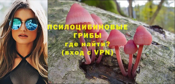 скорость Алзамай