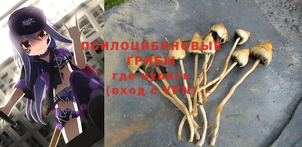 apvp Лагань